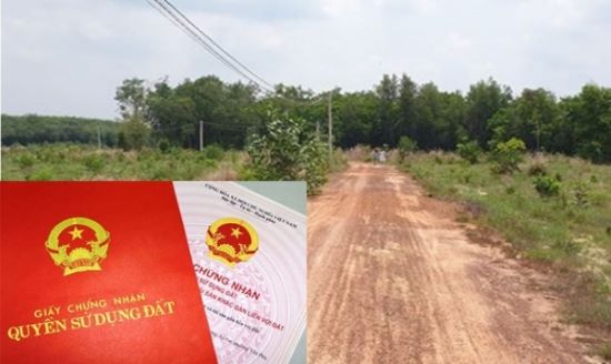 dat-duoc-giao-khong-thu-tien-su-dung-dat-co-duoc-mua-ban