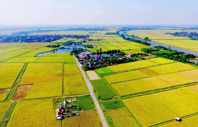 Viet-Kieu-co-duoc-mua-dung-ten-dat-nong-nghiep-khong