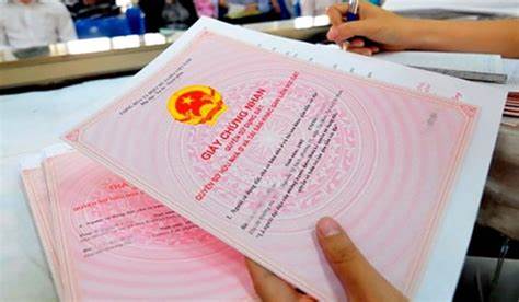 mau-quyet-dinh-thu-hoi-giay-chung-nhan-quyen-su-dung-dat