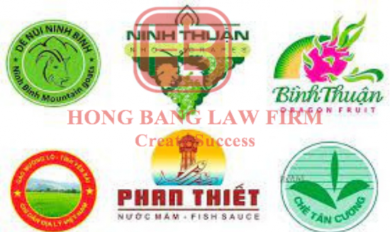 nhan-hieu-tap-the-la-gi-luu-y-gi-khi-su-dung-nhan-hieu-tap-the