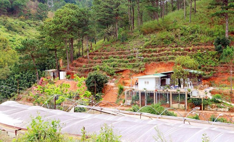 xay-dung-nha-trai-phep-tren-dat-lan-chiem-bi-xu-ly-nhu-the-nao
