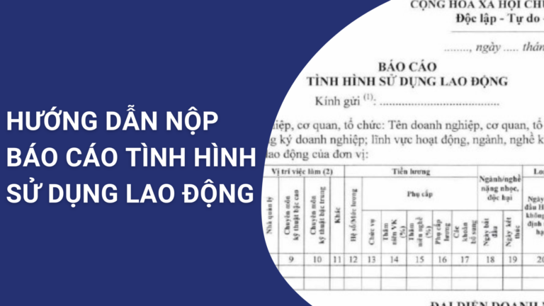 Huong-dan-bao-cao-tinh-hinh-su-dung-lao-dong-qua-dich-vu-cong