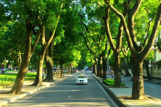 Quy-dinh-ve-dien-tich-dat-cay-xanh-cong-cong-trong-do-thi