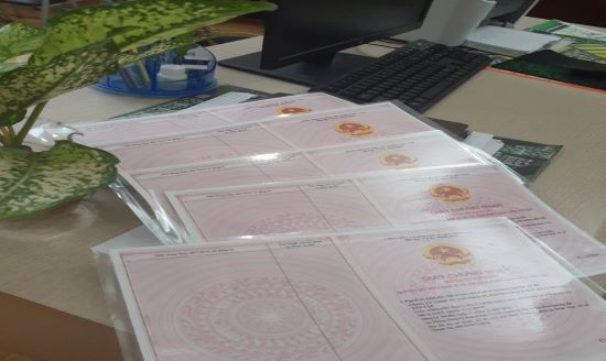 Thu-tuc-trich-luc-giay-chung-nhan-quyen-su-dung-dat-(so-do)