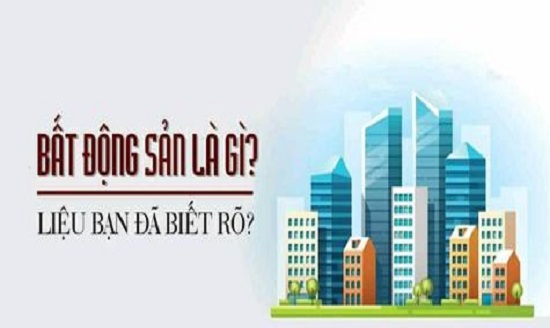 bat-dong-san-la-gi-phan-biet-giua-bat-dong-san-va-dong-san