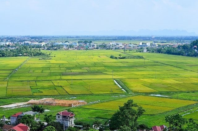 cach-tinh-tien-thue-dat-50-nam-tra-tien-mot-lan-tra-tien-hang-nam