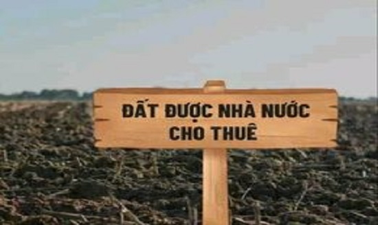 co-duoc-chon-hinh-thuc-tra-tien-thue-dat-1-lan-hoac-hang-nam