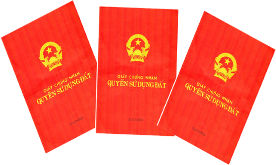co-duoc-uy-quyen-lam-so-do-khong-thu-tuc-uy-quyen-lam-so-do