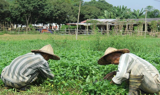 cuoc-song-cua-pham-nhan-trong-tu-di-tu-co-duoc-tien-khong