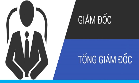 giam-doc-cong-ty-co-phan-phai-la-co-dong-cua-cong-ty-khong