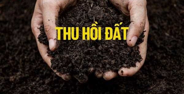 ho-tro-khi-thu-hoi-dat-nong-nghiep-co-duoc-tai-dinh-cu-khong