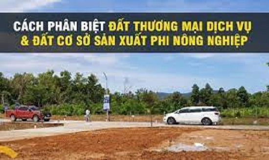 phan-biet-dat-thuong-mau-dich-vu-voi-dat-co-so-san-xuat-phi-nong-nghiep