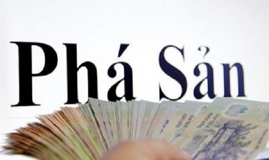 so-sanh-giua-luat-pha-san-viet-nam-va-luat-pha-san-hoa-ky