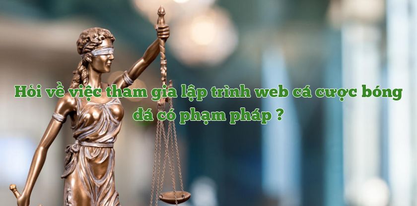tham-gia-lap-trinh-web-ca-do-bong-da-co-vi-pham-phap-luat-khong?