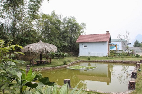 xay-nha-tren-dat-vuon-co-bi-phat-khong-muc-phat-bao nhieu