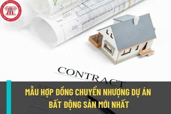 mau-hop-dong-chuyen-nhuong-toan-bo-du-an-bat-dong-san