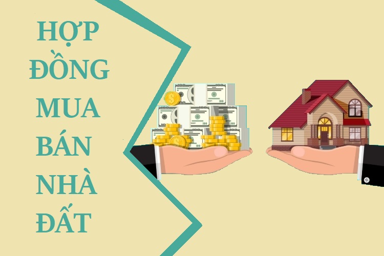 mau-hop-dong-mua-ban-nha-dat-dong-so-huu-dung-phap-luat