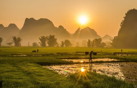 thong-bao-niem-yet-mat-giay-chung-nhan-quyen-su-dung-dat